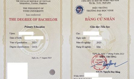 bằng đại học sư phạm tiểu học dạy trường tư được không