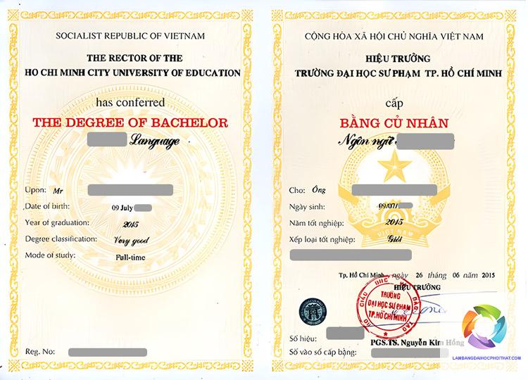 bằng đại học sư phạm tiểu học học mấy năm - Hình 4