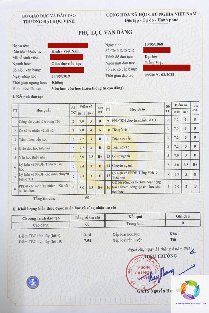 bằng đại học sư phạm tiểu học ra làm gì - Hình 5
