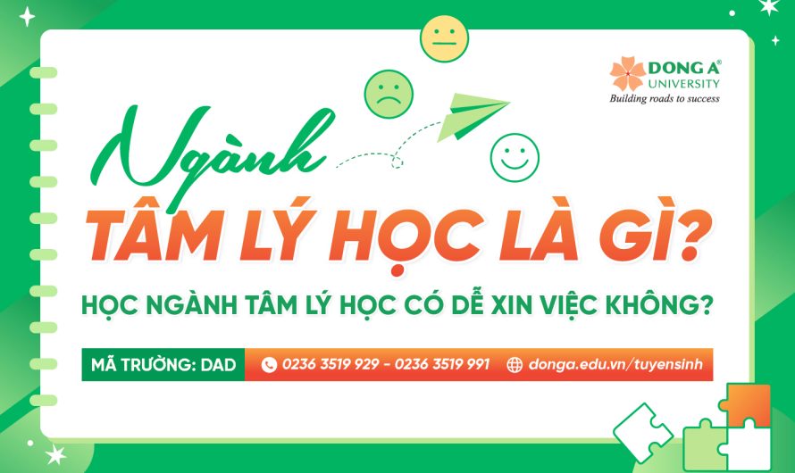 Bằng đại học tâm lý học có dễ xin việc không? Cơ hội thực tế và lộ trình nghề nghiệp