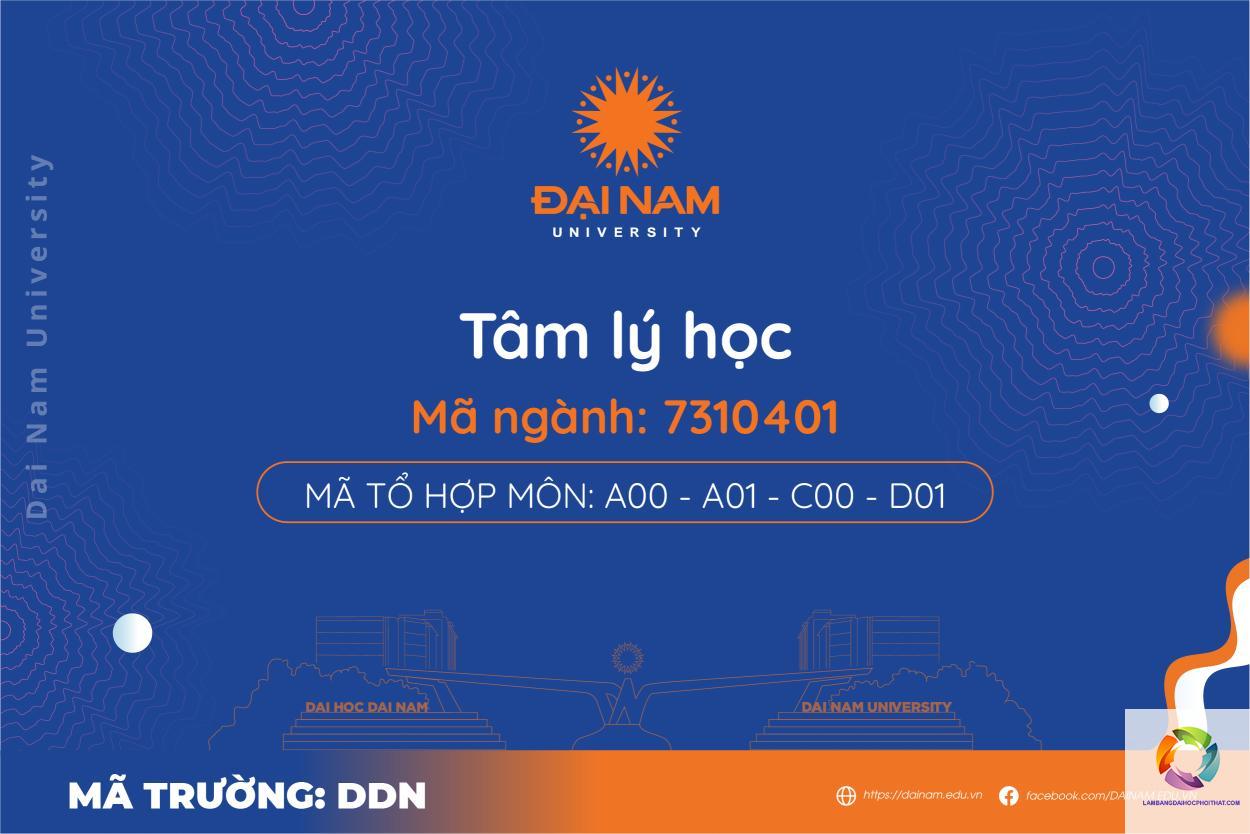 bằng đại học tâm lý học có giá trị gì - Hình 1