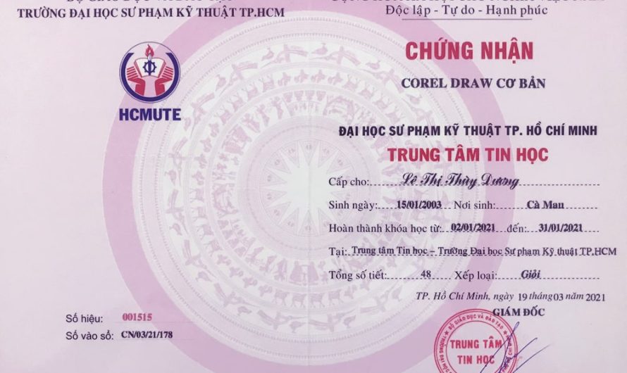 Bằng đại học thiết kế đồ họa học mấy năm? Lộ trình chi tiết cho người mới bắt đầu