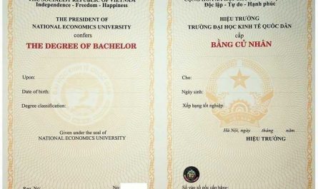 bằng đại học thời 4.0