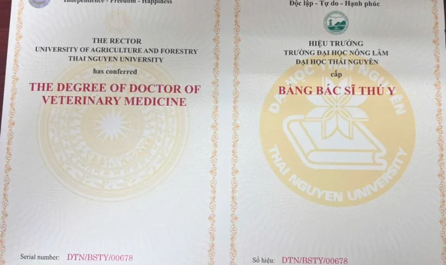 Bằng đại học thú y có dễ xin việc không? Cơ hội việc làm và mức lương thực tế