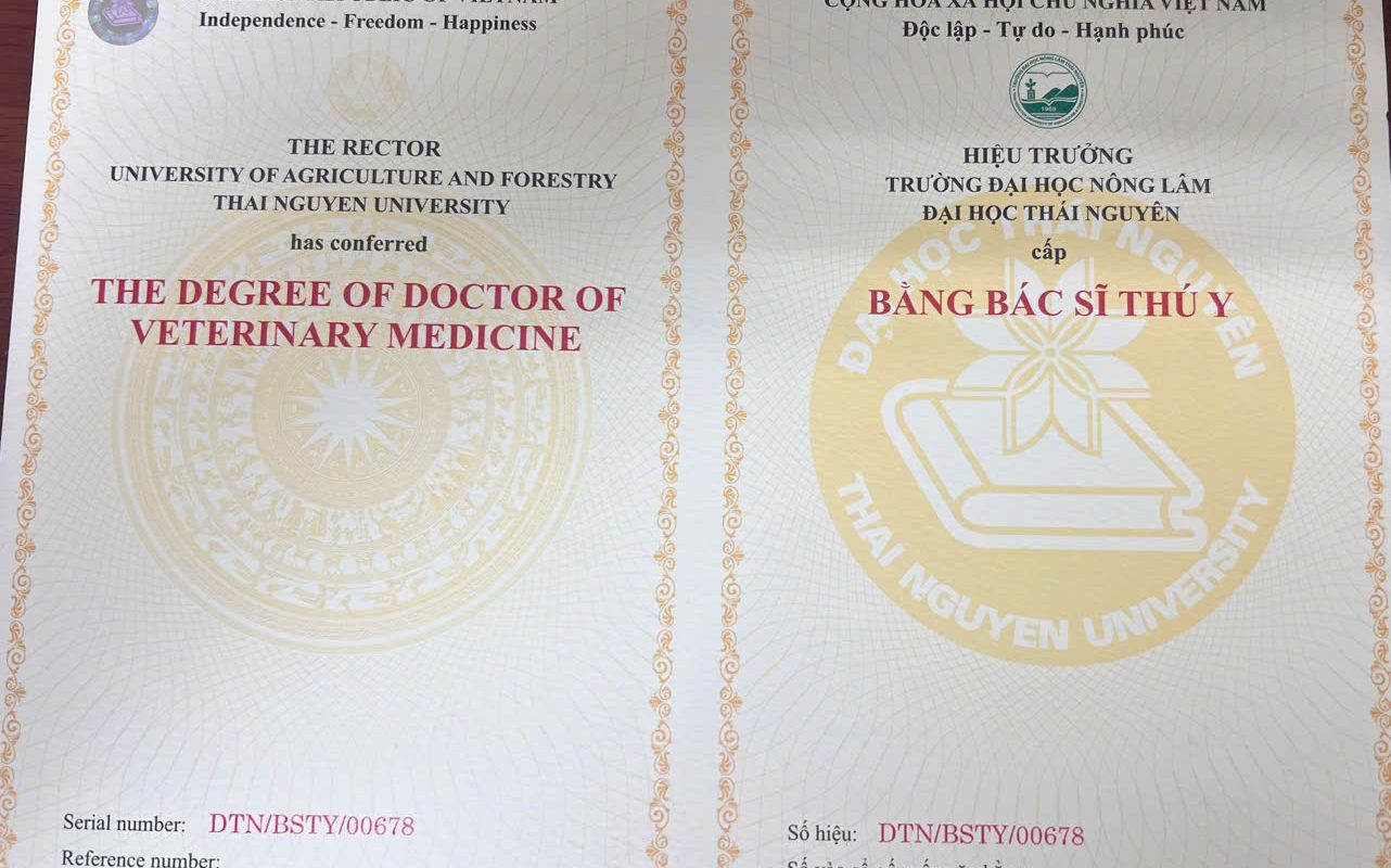 bằng đại học thú y làm bệnh viện thú cưng được không