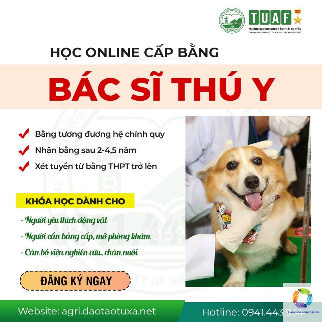 bằng đại học thú y làm bệnh viện thú cưng được không - Hình 2
