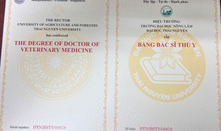 bằng đại học thú y làm bệnh viện thú cưng được không