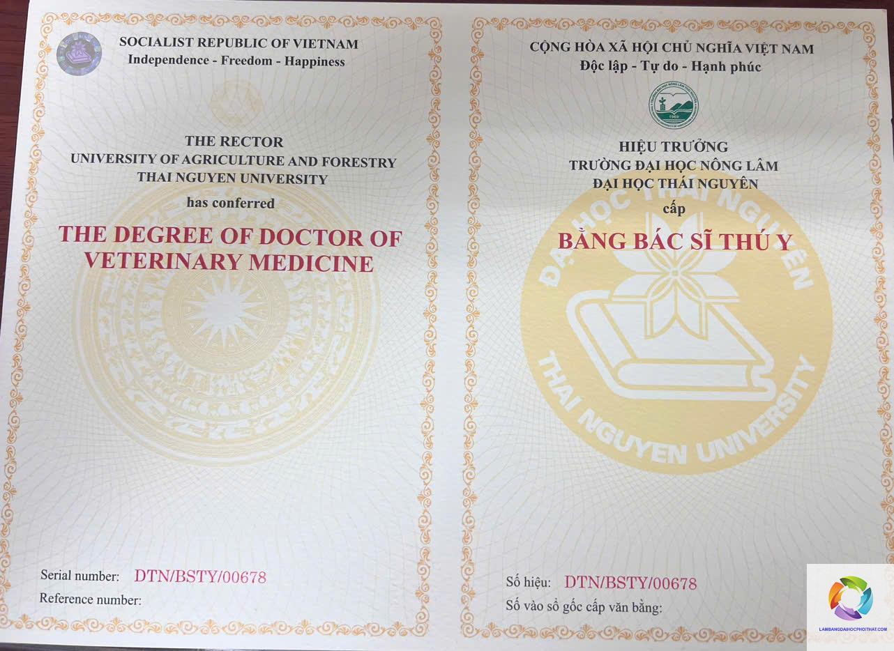 bằng đại học thú y làm bệnh viện thú cưng được không - Hình 1