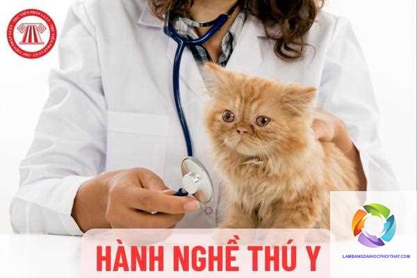 bằng đại học thú y làm cơ quan nhà nước được không - Hình 2