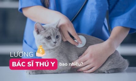 bằng đại học thú y lương bao nhiêu