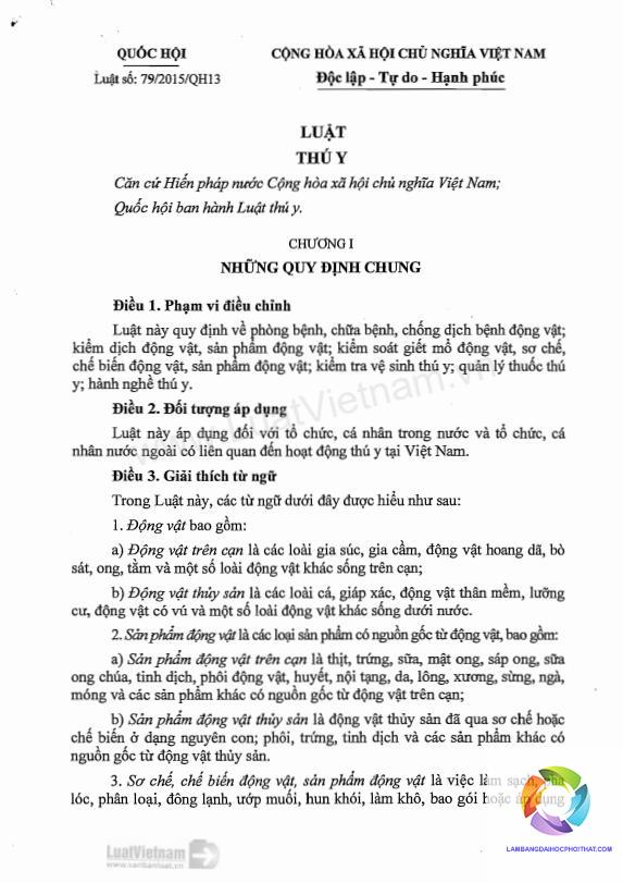 bằng đại học thú y mở phòng khám thú y được không - Hình 4
