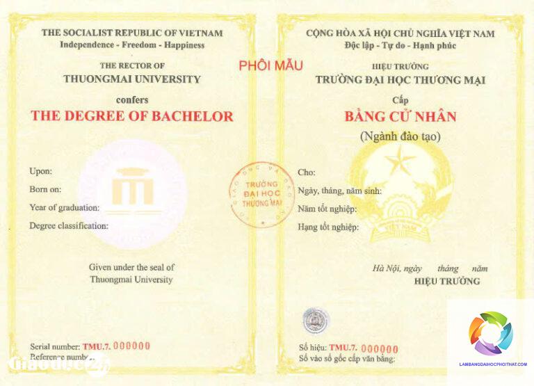 bằng đại học thương mại điện tử là gì - Hình 2