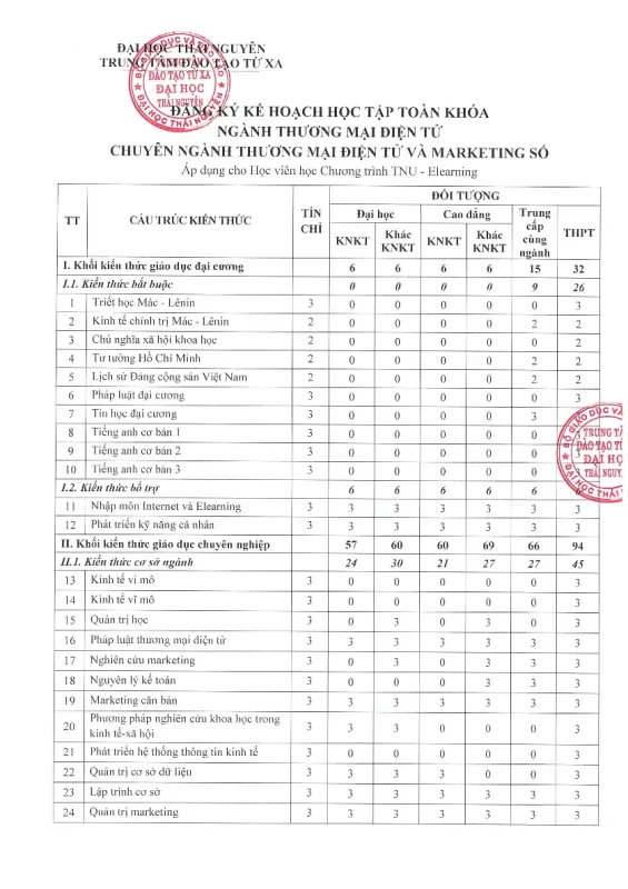 bằng đại học thương mại điện tử là gì - Hình 4