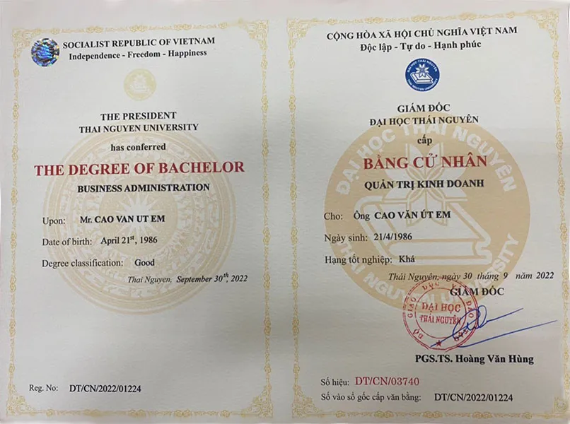 bằng đại học thương mại điện tử là gì - Hình 1