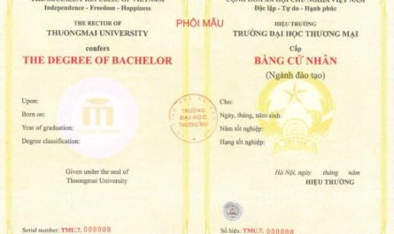 bằng đại học thương mại điện tử làm digital marketing được không
