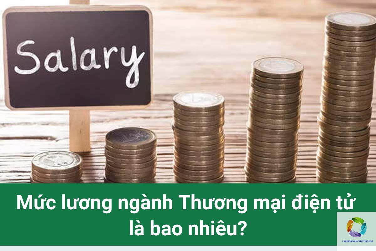 bằng đại học thương mại điện tử lương bao nhiêu - Hình 5