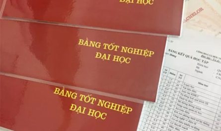 bằng đại học và bằng nghề