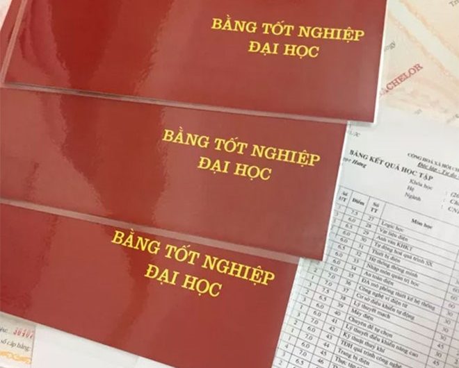 Bằng đại học và bằng nghề: Lựa chọn nào quyết định tương lai sự nghiệp của bạn?