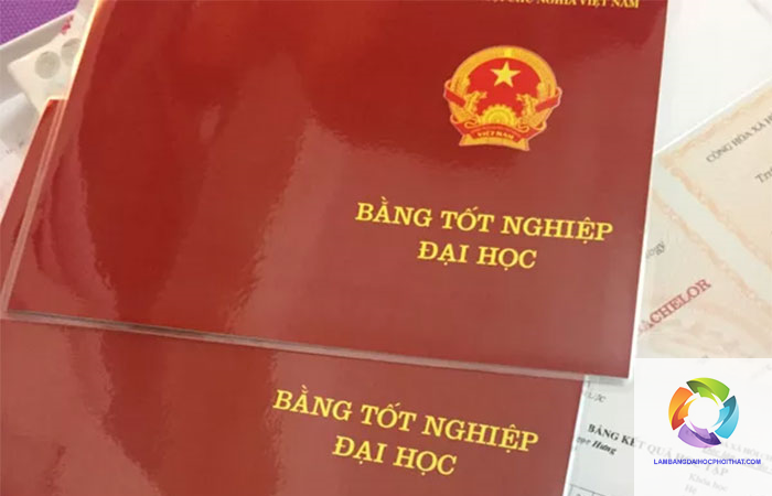 bằng đại học và cao đẳng - Hình 2