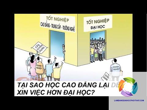 bằng đại học và cao đẳng cái nào dễ xin việc hơn - Hình 4