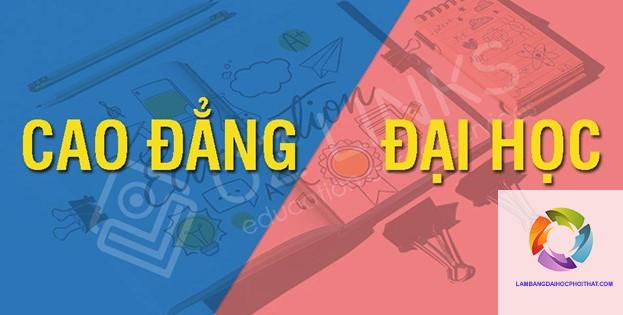 bằng đại học và cao đẳng cái nào dễ xin việc hơn - Hình 5