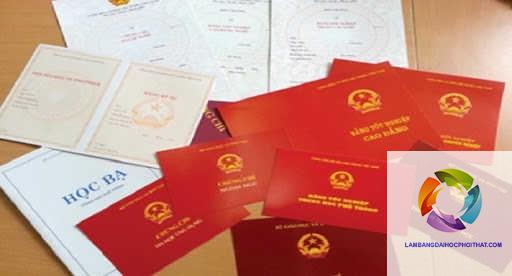 Bằng đại học và chứng chỉ nghề: Lựa chọn nào cho tương lai sự nghiệp vững chắc?