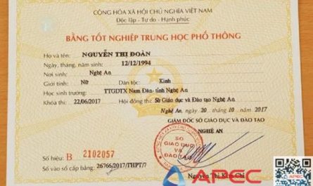 bằng đại học và du học nghề