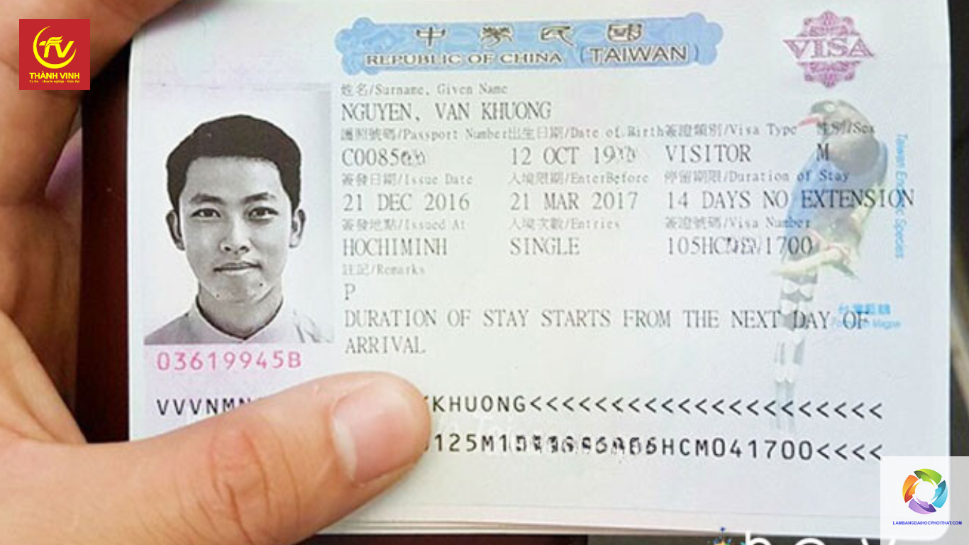 bằng đại học và du học nghề - Hình 5