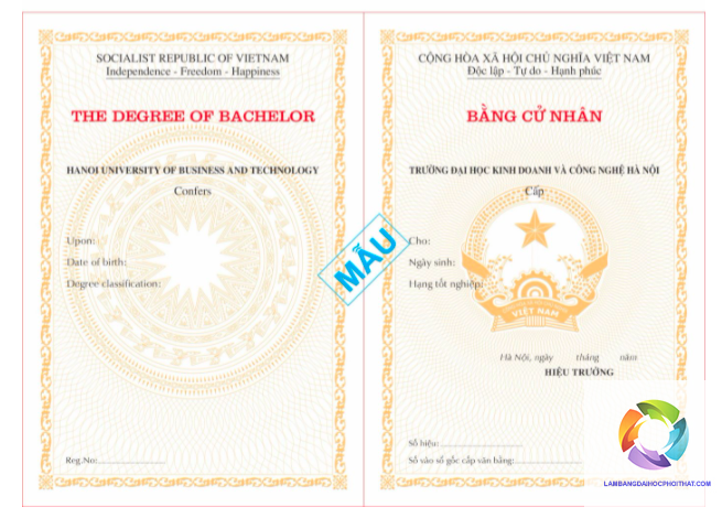 bằng đại học và thạc sĩ - Hình 2