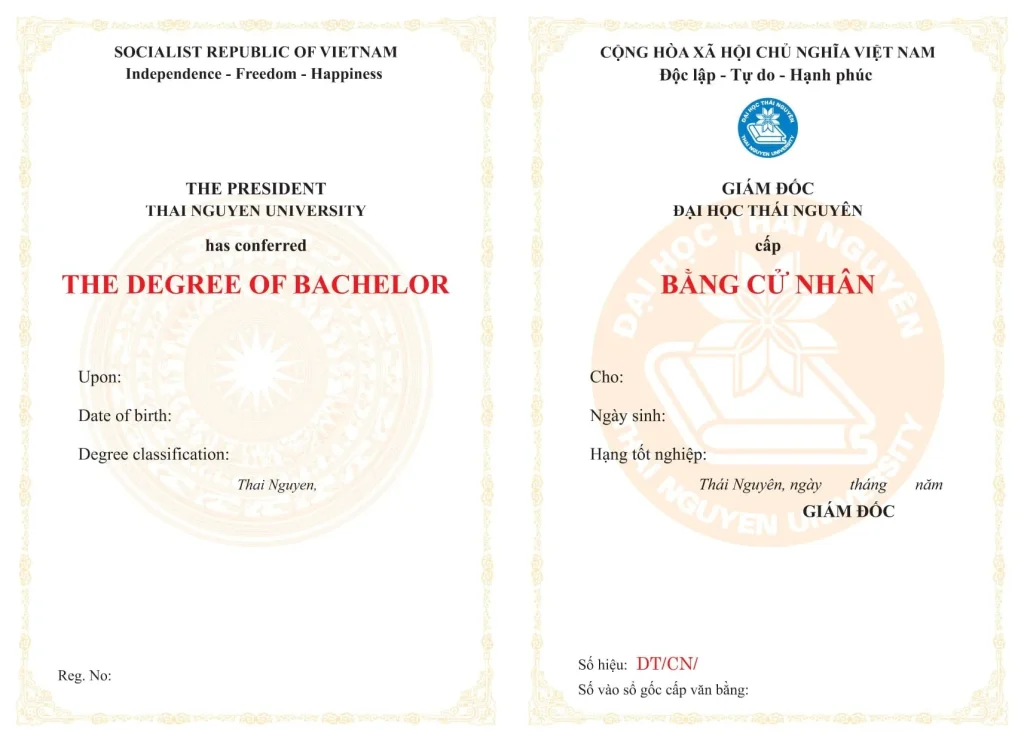 bằng đại học và thạc sĩ - Hình 5