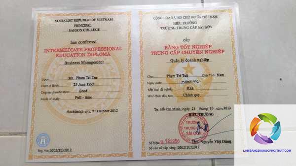 bằng đại học và trung cấp - Hình 2