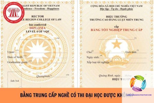 bằng đại học và trung cấp - Hình 3