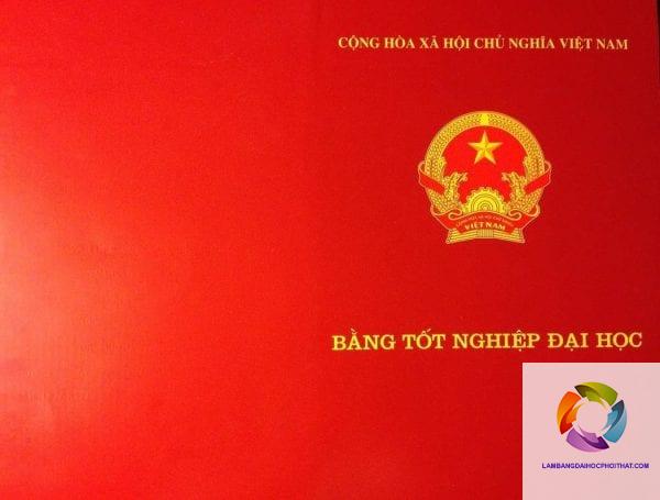 bằng đại học việt nam và quốc tế - Hình 3