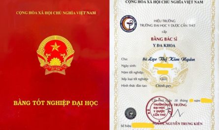 bằng đại học y đa khoa học chuyên khoa được không