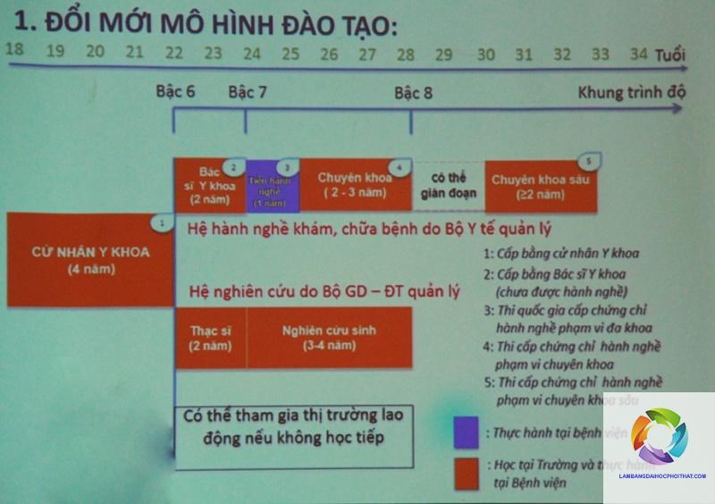 bằng đại học y đa khoa học mấy năm - Hình 3