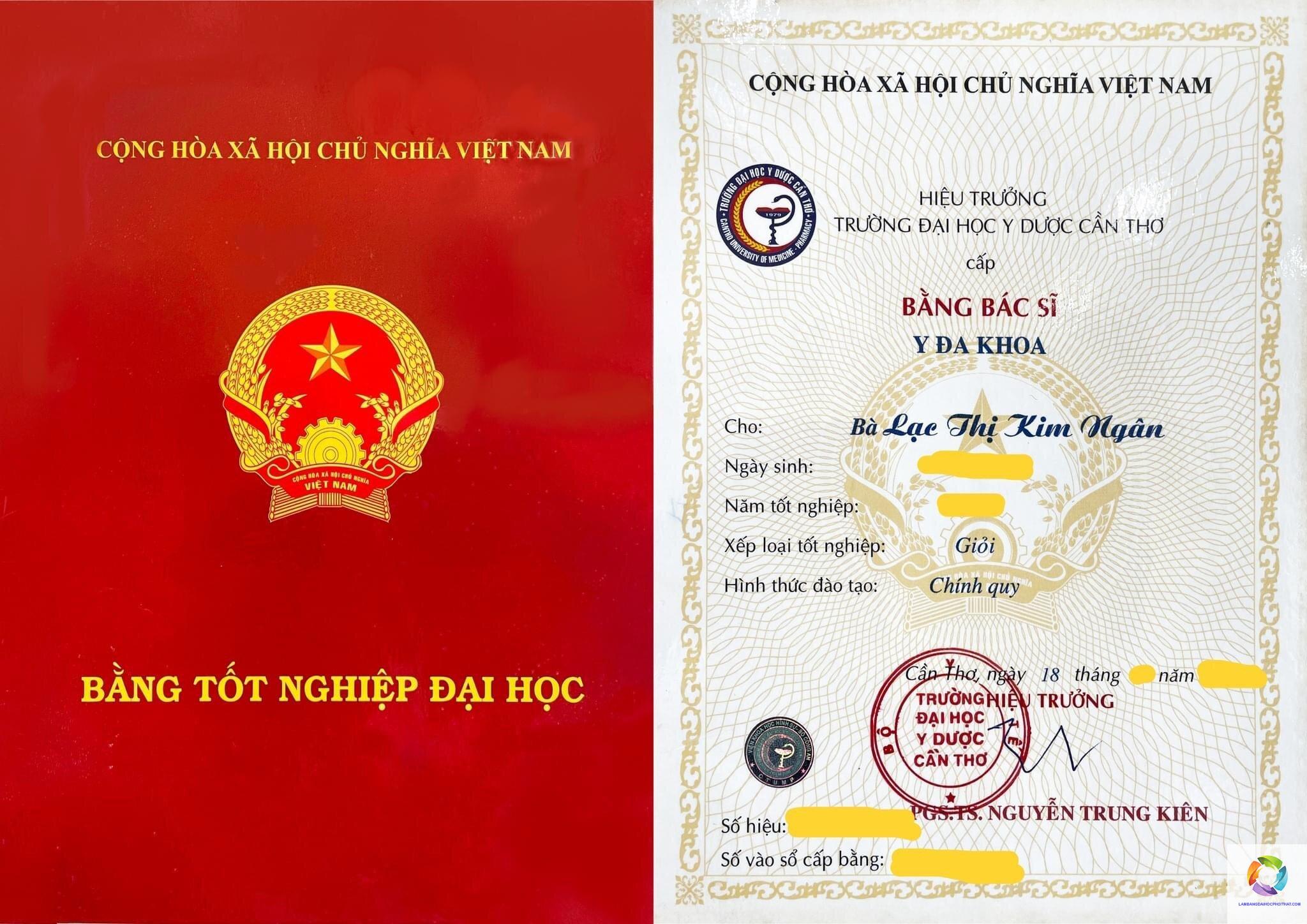 bằng đại học y đa khoa là gì - Hình 1