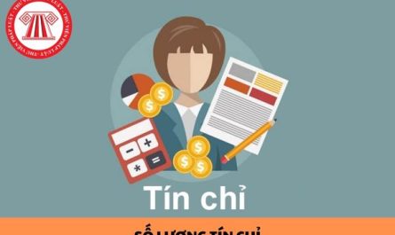 bao nhiêu tín chỉ được tốt nghiệp đại học