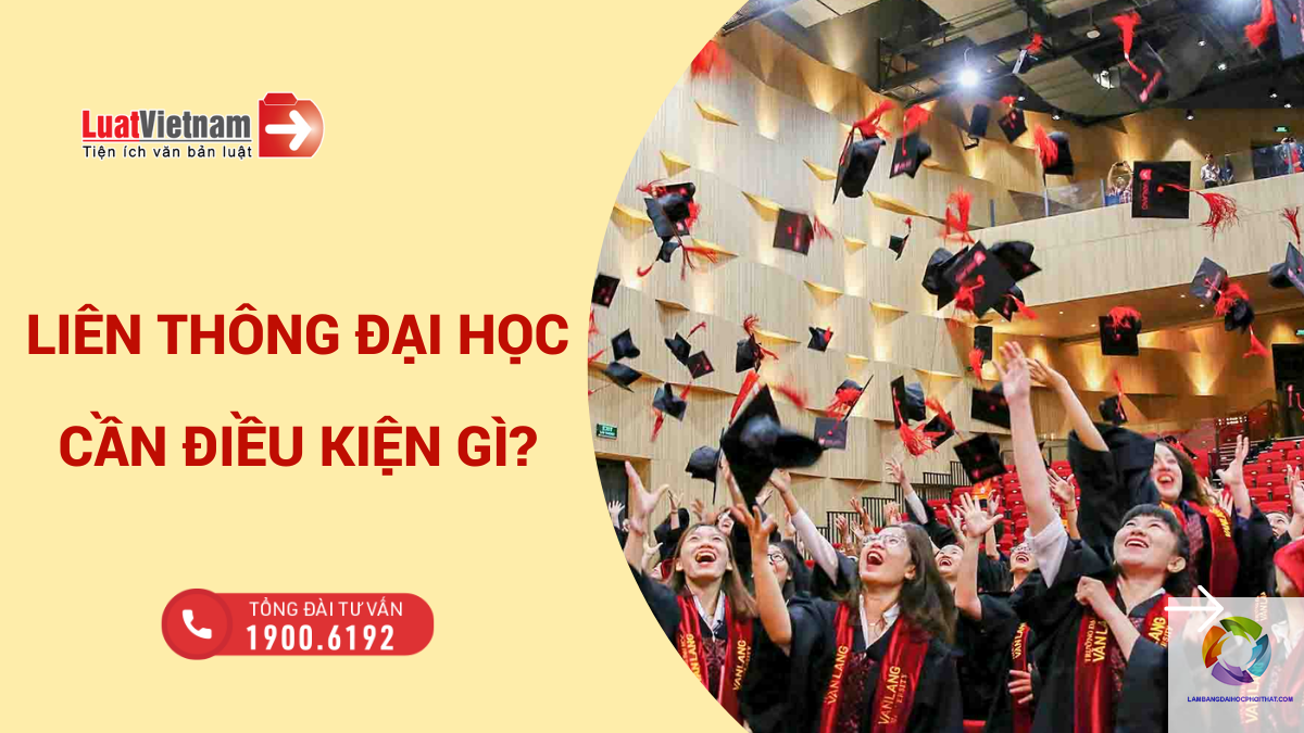 cao đẳng luật liên thông đại học - Hình 2
