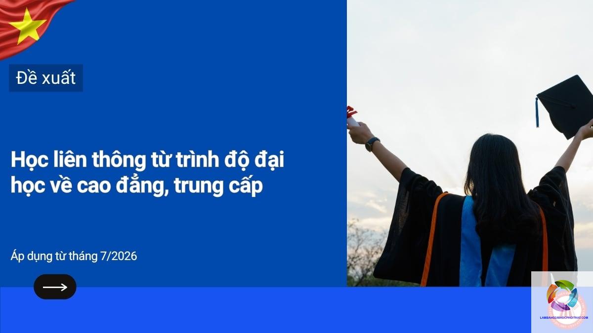 cao đẳng luật liên thông đại học - Hình 3