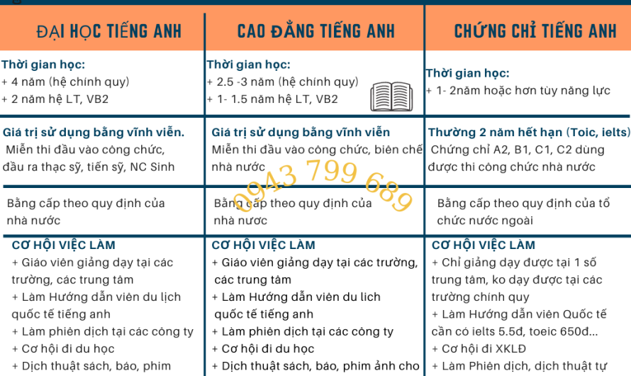 Cao đẳng tiếng anh liên thông đại học: Lộ trình nâng cấp bằng cấp cho người đi làm