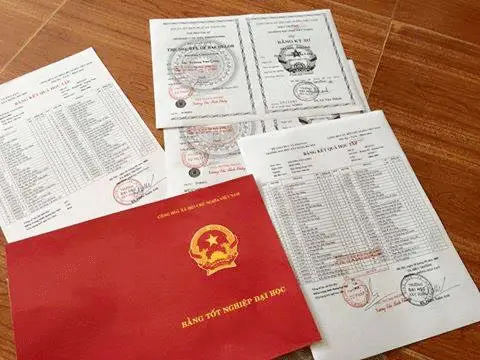 cấu trúc bằng đại học - Hình 2