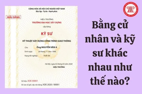 cấu trúc bằng đại học - Hình 5