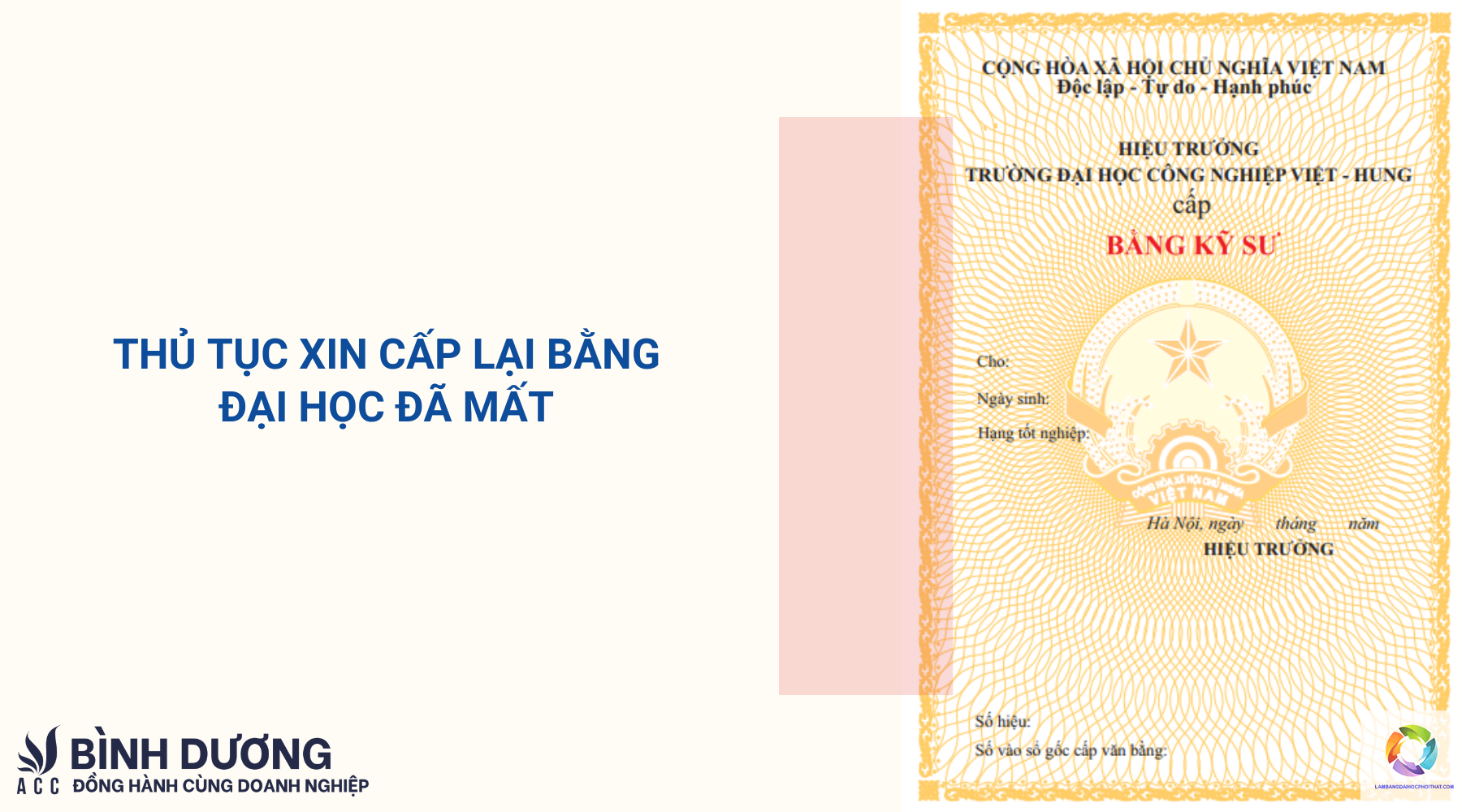 chi phí cấp lại bằng đại học - Hình 3