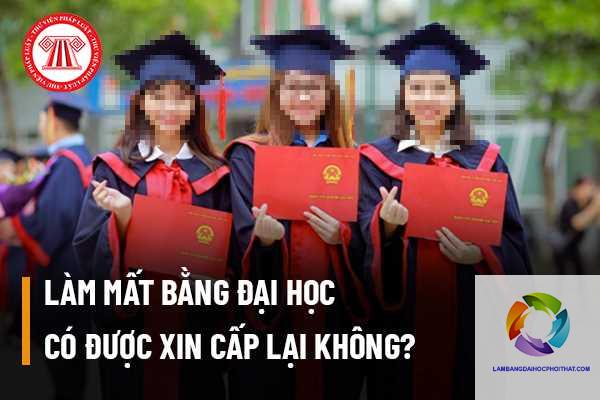 chưa nhận bằng đại học có sao không - Hình 3