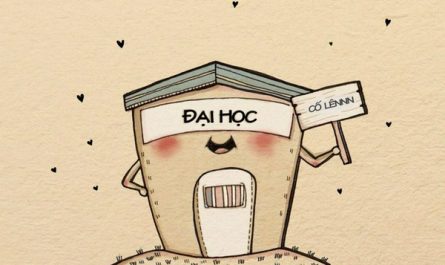 có bằng đại học làm được nghề gì