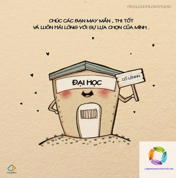 có bằng đại học làm được nghề gì
