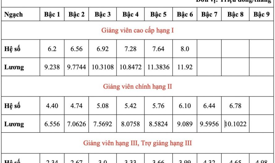 Có bằng đại học lương bao nhiêu? Bảng lương chi tiết theo ngành nghề năm 2025