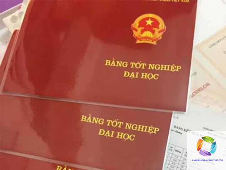có bằng đại học xin việc ở đâu - Hình 3