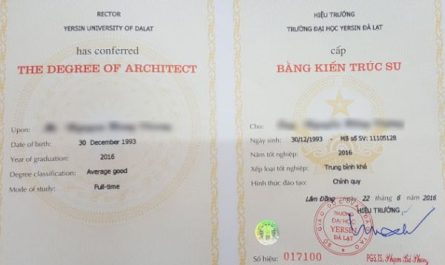giá trị thực tế của bằng đại học