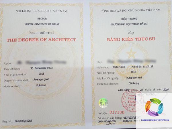 giá trị thực tế của bằng đại học